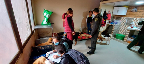 No al maltrato animal en Popayán No al maltrato animal en Popayán