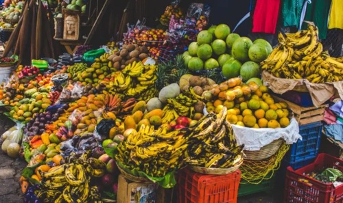 Alertas sobre una inminente crisis alimentaria