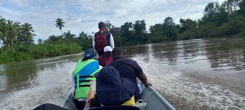 La cadena productiva del coco en el Cauca La cadena productiva del coco en el Cauca