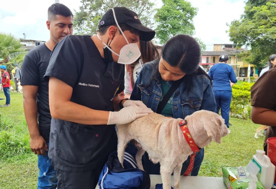 Popayán sigue progresando en la protección de los animales
