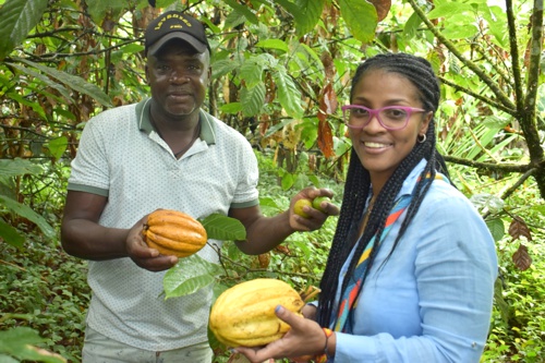 Productores de cacao orgánico de Timbiquí producen vino Productores de cacao orgánico de Timbiquí producen vino