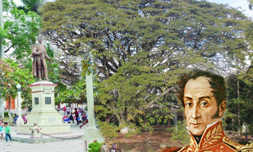 BICENTENARIO LIBERTADOR AL SUR