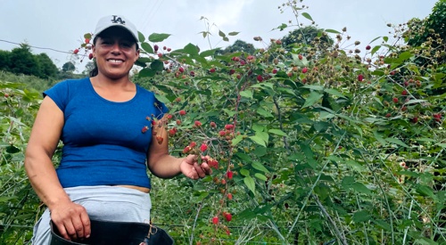 Cauca y Valle del Cauca hacia adelante: Sostenibilidad como propósito Cauca y Valle del Cauca hacia adelante: Sostenibilidad como propósito