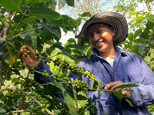 Cauca y Valle del Cauca hacia adelante: Sostenibilidad como propósito Cauca y Valle del Cauca hacia adelante: Sostenibilidad como propósito