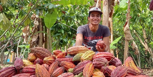 Cauca y Valle del Cauca hacia adelante: Sostenibilidad como propósito Cauca y Valle del Cauca hacia adelante: Sostenibilidad como propósito