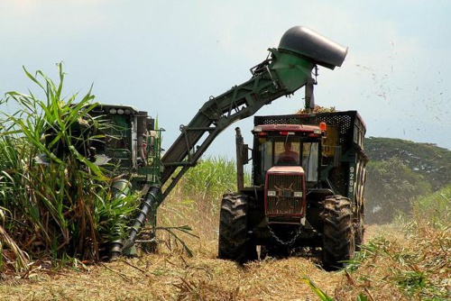 Habrá diálogo regional por conflictos de tierras Habrá diálogo regional por conflictos de tierras