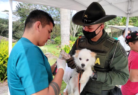 Los animales no quedarán desamparados en Popayán