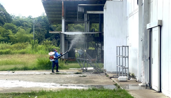 Merquilichao previene y controla las plagas en el Frigorífico de Santander de Quilichao