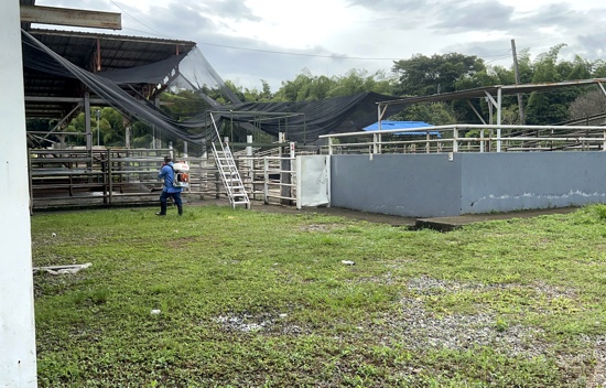 Merquilichao previene y controla las plagas en el Frigorífico de Santander de Quilichao
