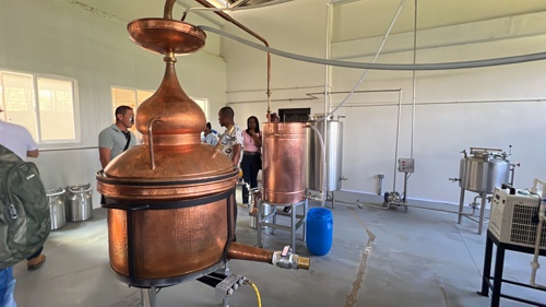 Santander de Quilichao será productor de ron y aguardiente
