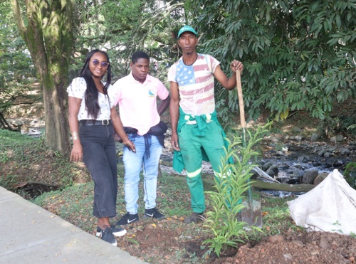 Siembran plantas para la vida en la “Ciudad de los Samanes” Siembran plantas para la vida en la “Ciudad de los Samanes”