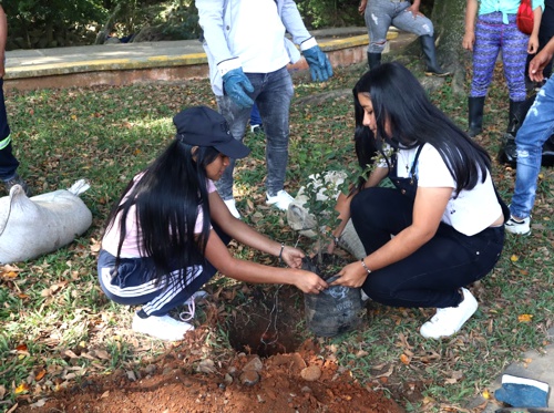 Siembran plantas para la vida en la “Ciudad de los Samanes” Siembran plantas para la vida en la “Ciudad de los Samanes”
