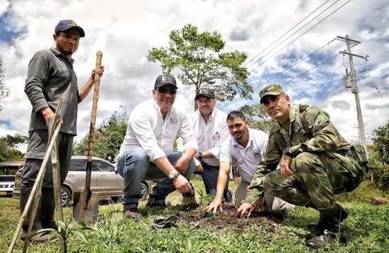 CEO aporta a la Paz del Cauca, iluminando los cafetales en el suroccidente del país.