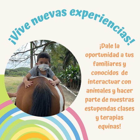 Equinoterapia beneficia a niños con discapacidad en el Valle - Fundación TerapiArte Equinoterapia beneficia a niños con discapacidad en el Valle - Fundación TerapiArte