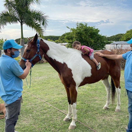 Equinoterapia beneficia a niños con discapacidad en el Valle - Fundación TerapiArte Equinoterapia beneficia a niños con discapacidad en el Valle - Fundación TerapiArte