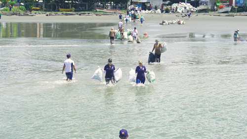 Se suman fuerzas al programa Playas Invencibles