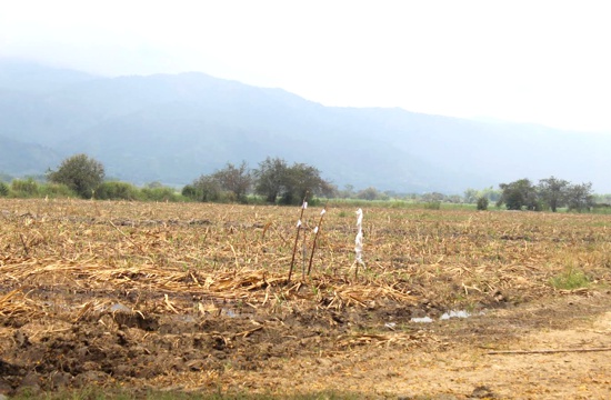 Tierras, cultivos, etnias y violencia en el norte del Cauca Tierras, cultivos, etnias y violencia en el norte del Cauca