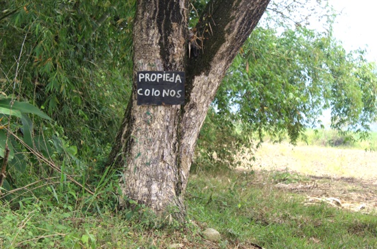 Tierras, cultivos, etnias y violencia en el norte del Cauca Tierras, cultivos, etnias y violencia en el norte del Cauca