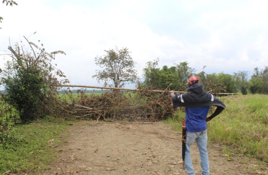 Tierras, cultivos, etnias y violencia en el norte del Cauca Tierras, cultivos, etnias y violencia en el norte del Cauca