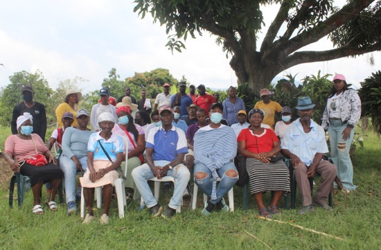 Tierras, cultivos, etnias y violencia en el norte del Cauca Tierras, cultivos, etnias y violencia en el norte del Cauca
