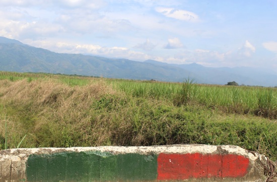 Tierras, cultivos, etnias y violencia en el norte del Cauca Tierras, cultivos, etnias y violencia en el norte del Cauca