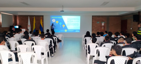 Avanza la sustitución de vehículos de tracción animal