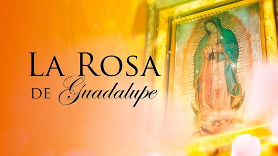 La Rosa de Guadalupe regresa a RCN Tv La Rosa de Guadalupe regresa a RCN Tv