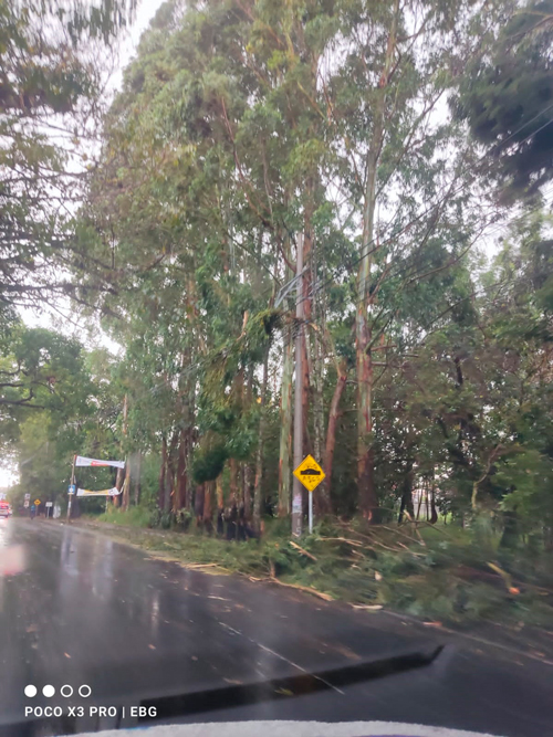 Caída de árboles sobre la infraestructura eléctrica por fuertes lluvias 