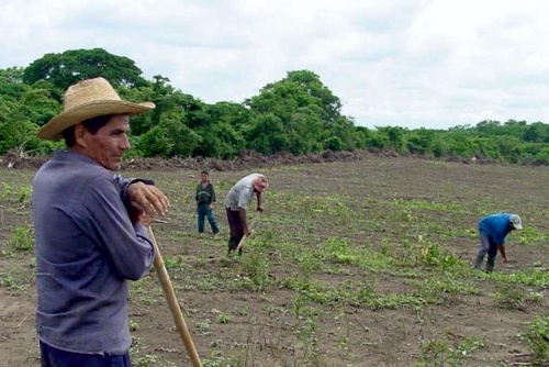 ¿Desalambrar o industrializar?
