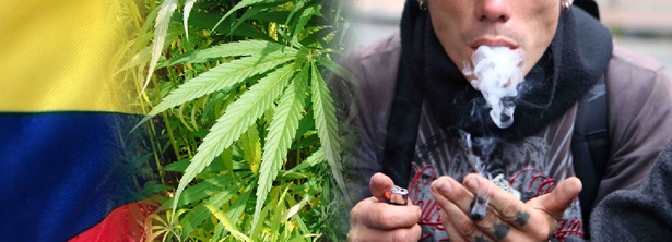 Investigación demuestra riesgos de legalizar marihuana recreativa