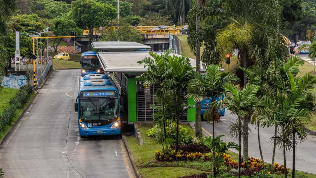 MIO aumentará flota para fortalecer el servicio en día sin carro MIO aumentará flota para fortalecer el servicio en día sin carro