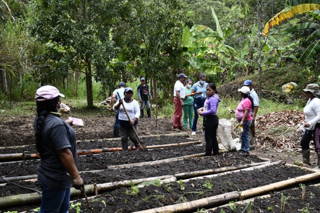 Seguridad alimentaria en situación de emergencia