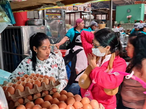Censo para los vehículos de tracción animal en Popayán Censo para los vehículos de tracción animal en Popayán