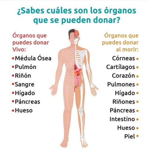 Día Mundial de la Donación de Órganos y Tejidos Día Mundial de la Donación de Órganos y Tejidos
