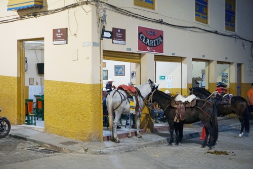 Descubriendo el encanto paisa