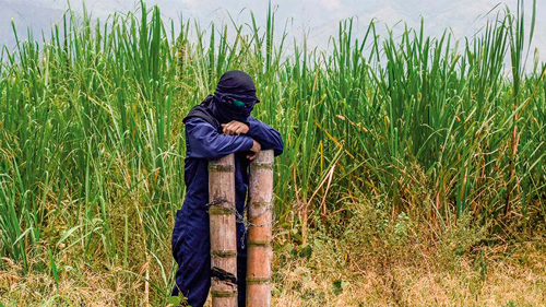 La reforma agraria en el Cauca La reforma agraria en el Cauca