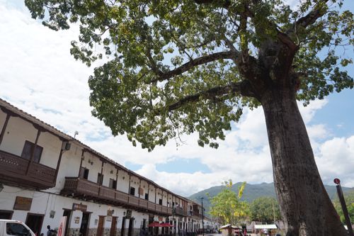 Descubriendo el encanto paisa