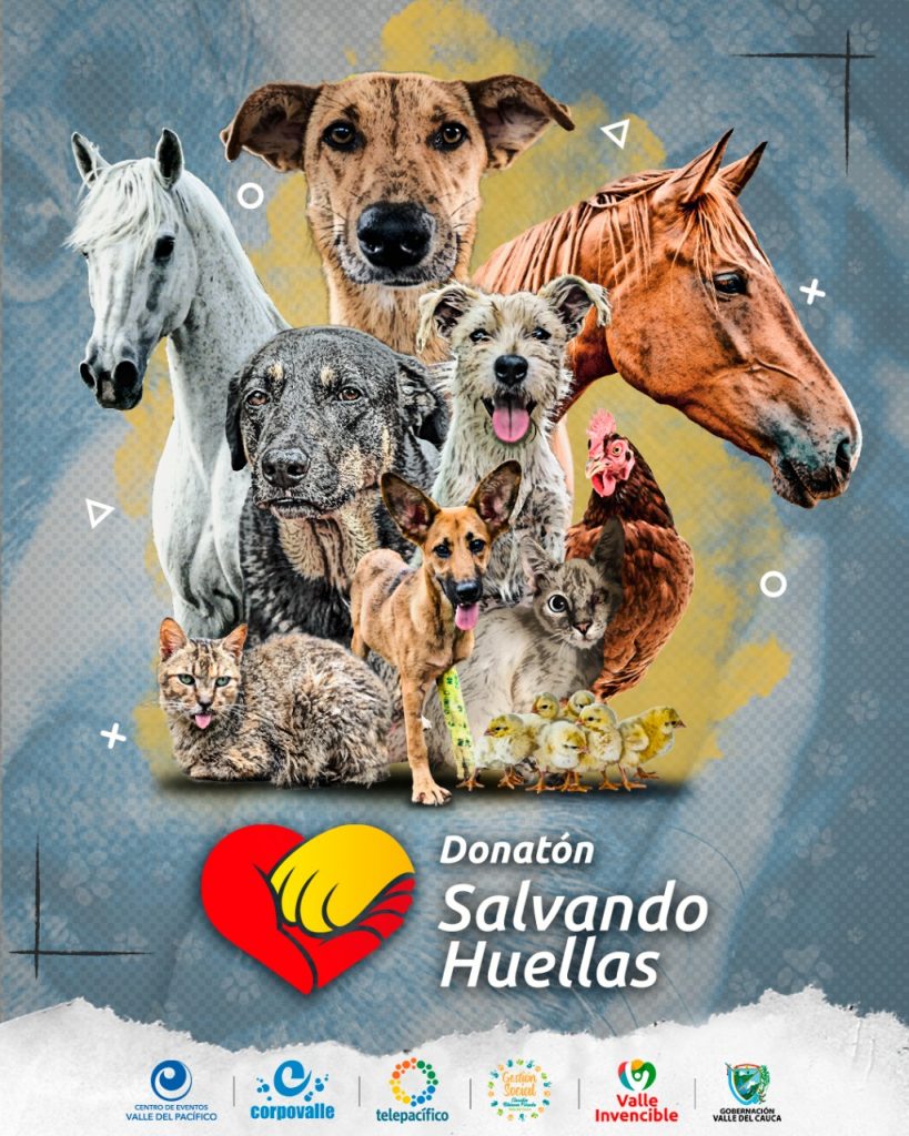 todos a unirse a la tercera edición de la donatón ‘Salvando Huellas’