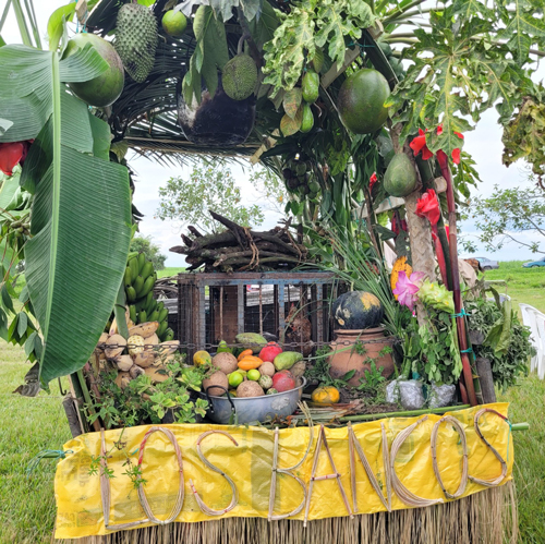 Carroza de la vereda Los Bancos, ganadora de la premiación Carroza de la vereda Los Bancos, ganadora de la premiación