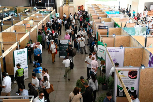 asistencia al evento asistencia al evento