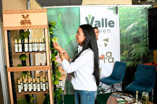 emprendimientos de cannabis emprendimientos de cannabis