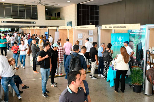 Arrancó la I Cumbre Nacional de Cannabis y Cáñamo Arrancó la I Cumbre Nacional de Cannabis y Cáñamo