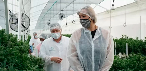 Así será la I Cumbre Nacional de Cannabis y Cáñamo en el Valle Así será la I Cumbre Nacional de Cannabis y Cáñamo en el Valle