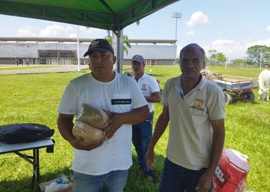 Avanza la Semana de Bienestar Animal en Santander de Quilichao