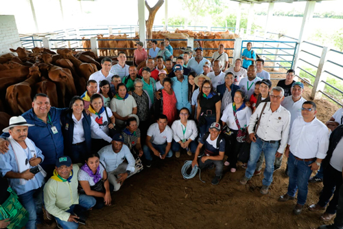 Caucanas trabajarán en la doble calzada Popayán – Santander Caucanas trabajarán en la doble calzada Popayán – Santander