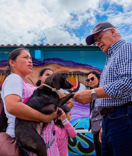 Esterilizaciones gratuitas para perros y gatos en Popayán