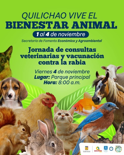 Quilichao Vive el Bienestar Animal del 1 al 4 de Noviembre de 2022