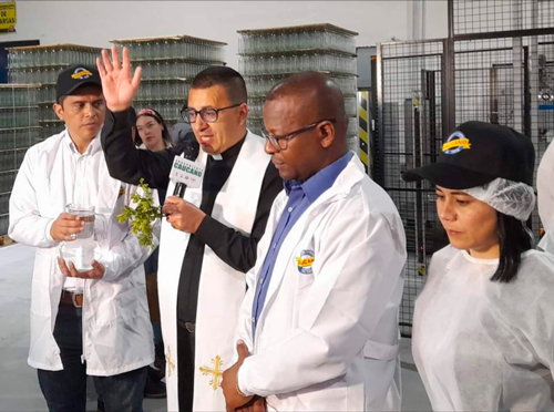 Aguardiente caucano cuenta con nueva línea de envasado