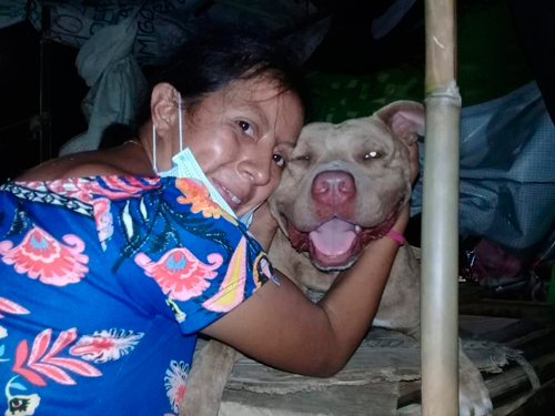 El refugio de perros que recorre Colombia en una moto