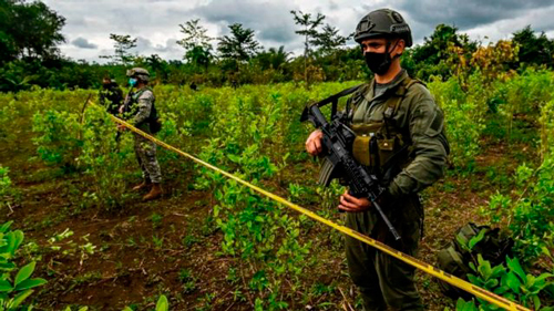Impacto de la guerra contra las drogas en Colombia Impacto de la guerra contra las drogas en Colombia